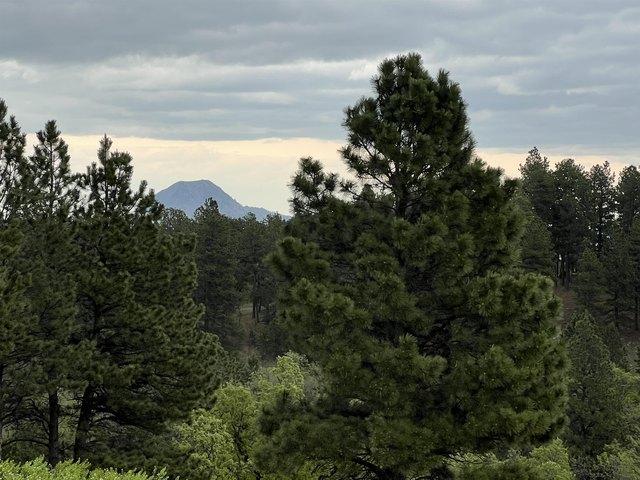Land for sale in Whitewood, Lawrence County