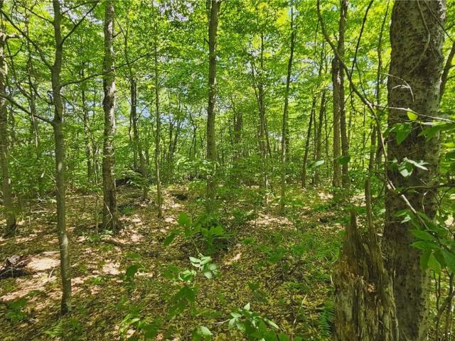 Land for sale in Old Forge, New York