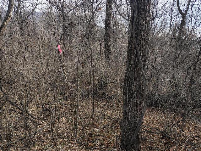 Land for sale in Virginia
