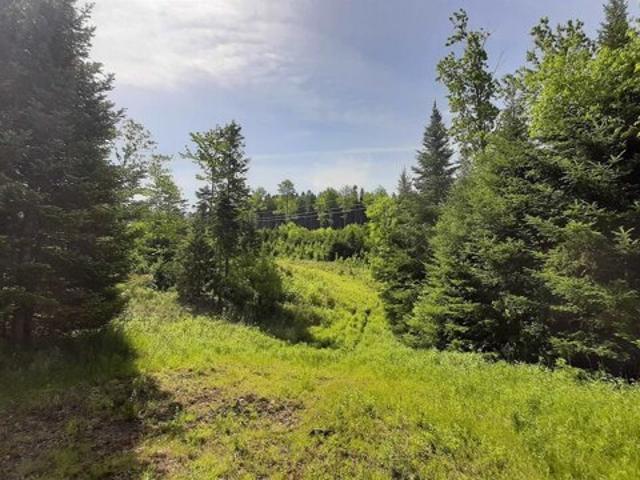Land for sale in Mount Holly, Vermont