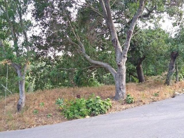 Land for sale in Topanga, California