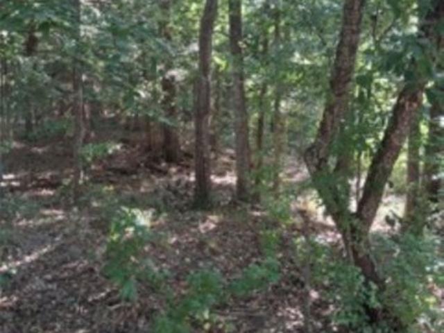 Land for sale in Henderson, Texas