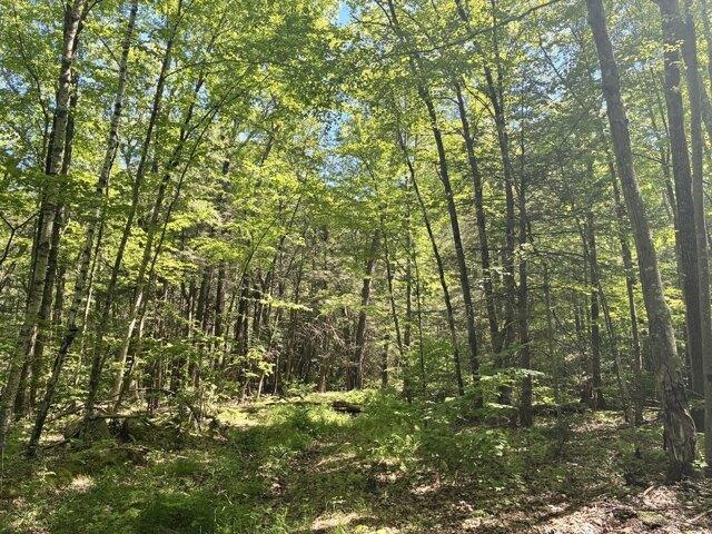 Land for sale in Belchertown, Hampshire County