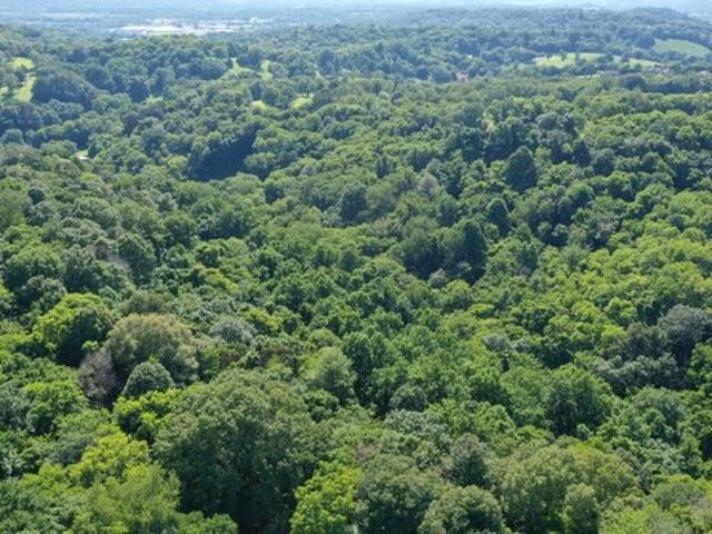 Land for sale in Tennessee
