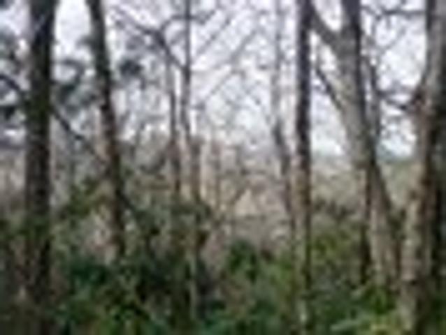House for sale in Highlands, North Carolina