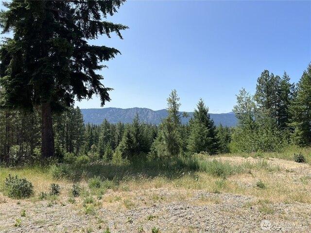 Land for sale in Cle Elum, Washington