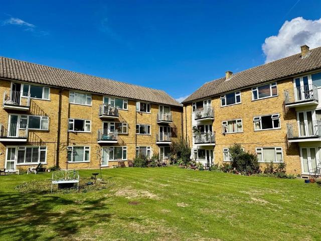 Apartment for rent in Hale, Waverley