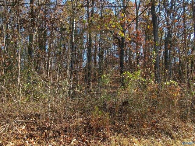 Land for sale in Scottsboro