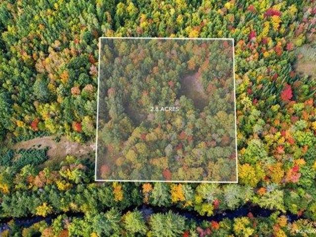 Land for sale in North Buckfield, Buckfield