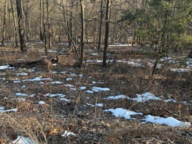 Land for sale in Haymarket