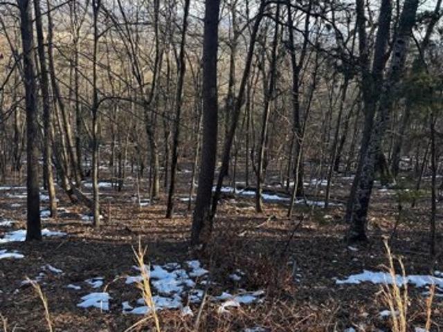 Land for sale in Haymarket