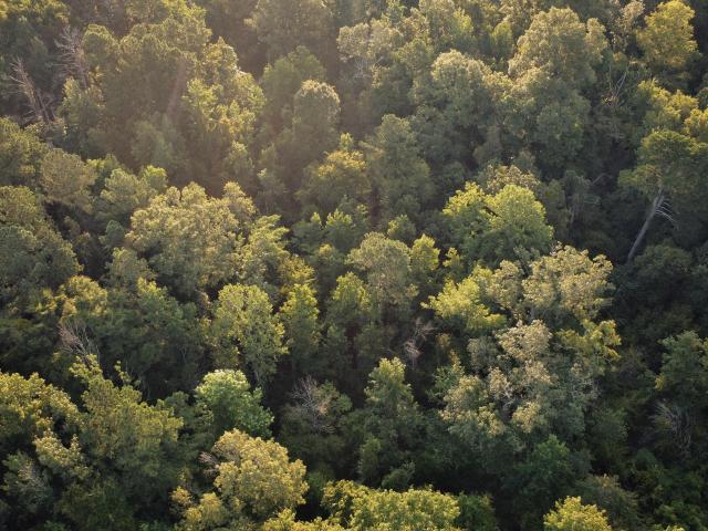 Land for sale in Crystal Springs, Mississippi