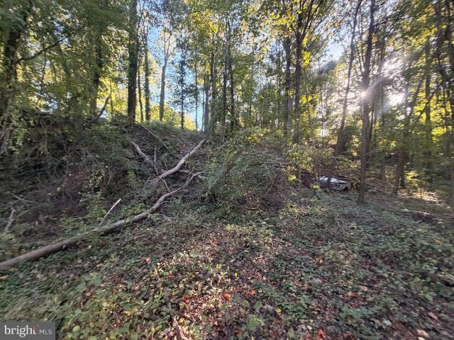 Land for sale in Hanlon-Longwood, Baltimore
