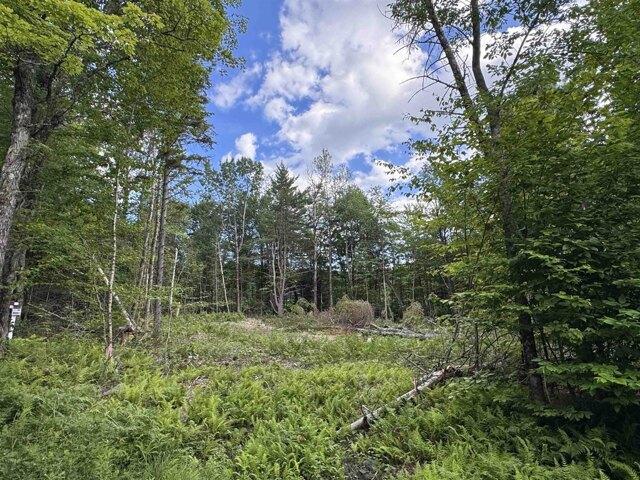Land for sale in Wilmington, Vermont