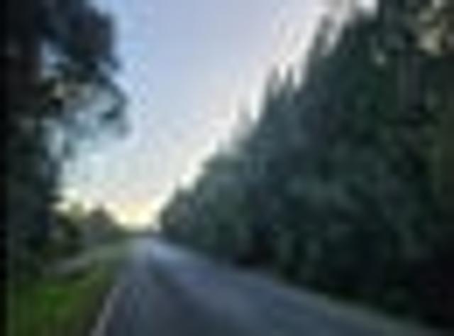Land for sale in West Coast