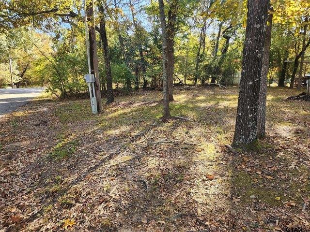Land for sale in Wood, Texas