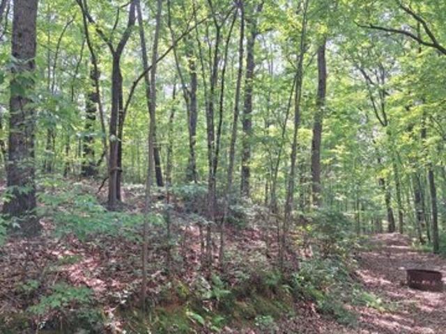 Land for sale in Blue Ridge