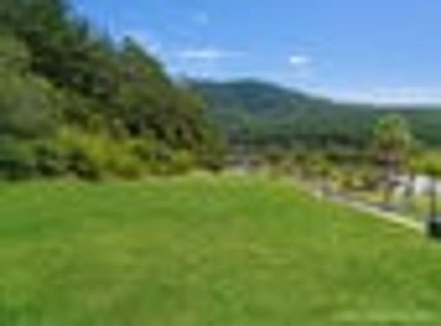 Land for sale in Waikato