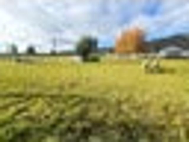 Land for sale in Otakou