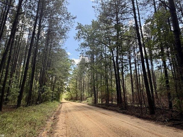 Land for sale in Lake, Mississippi