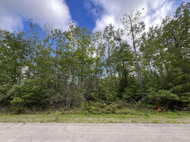 Land for sale in Presque Isle, Michigan