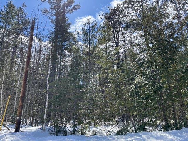 Land for sale in Presque Isle, Michigan