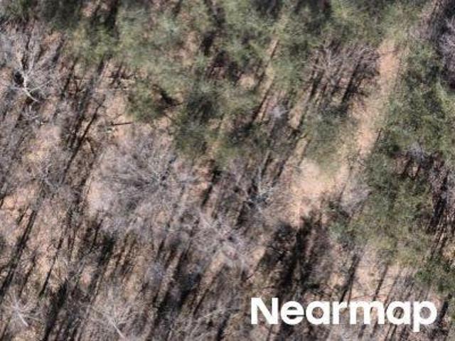 Property for sale in State Road, North Carolina