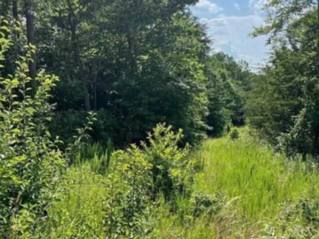 Land for sale in Morganton