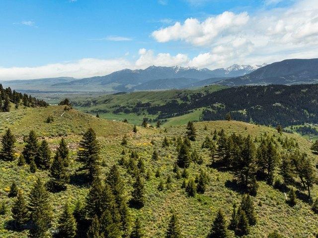 Land for sale in Livingston, Montana