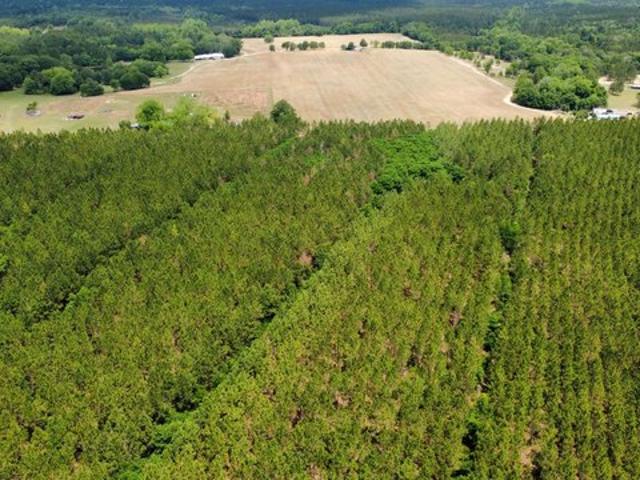 Land for sale in Fitzgerald, Georgia