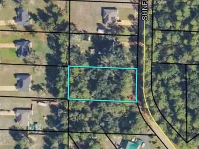 Land for sale in Quitman, Georgia