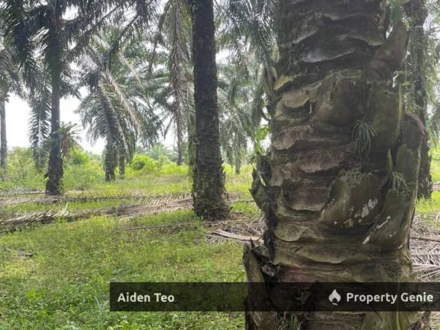 Property for sale in Malaka
