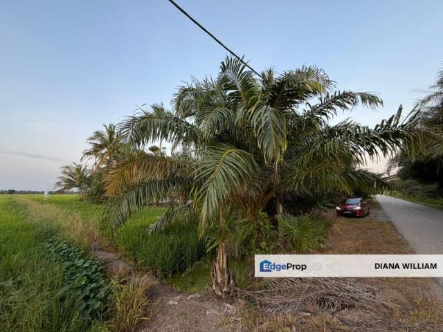 Shop for sale in Sungai Besar, Selangor