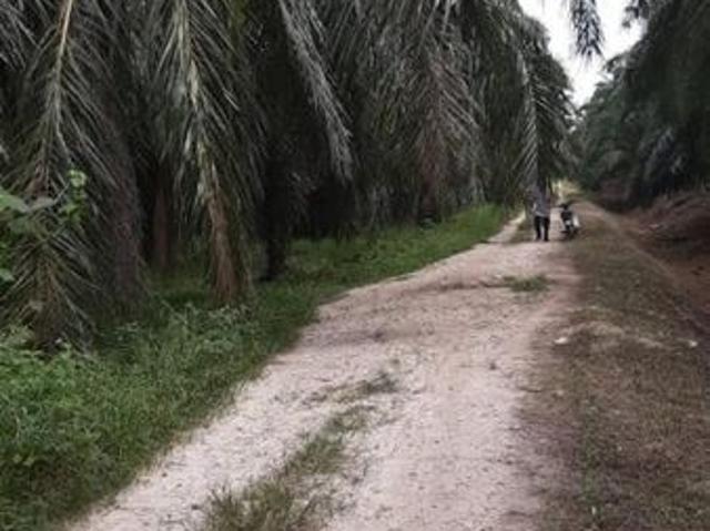 Shop for sale in Sungai Besar, Selangor