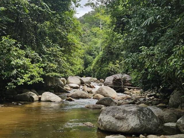 Property for sale in Perak, Tanjong Ipoh