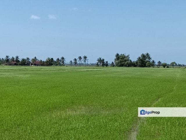 Shop for sale in Yan, Kedah