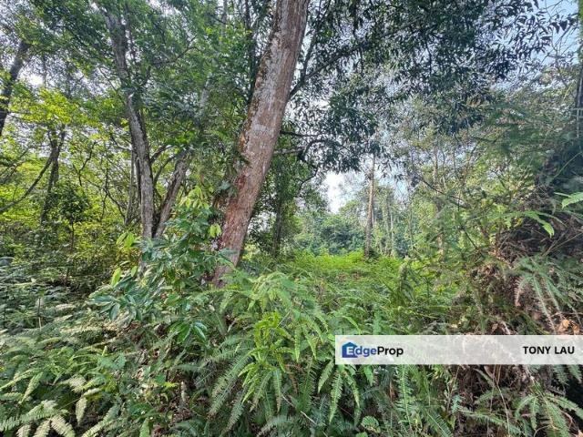 House for sale in Kajang, Langat