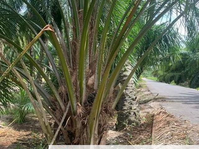 Shop for sale in Selangor