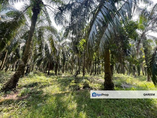 Shop for sale in Selangor