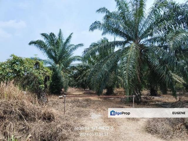 Shop for sale in Tanjong Sepat, Selangor