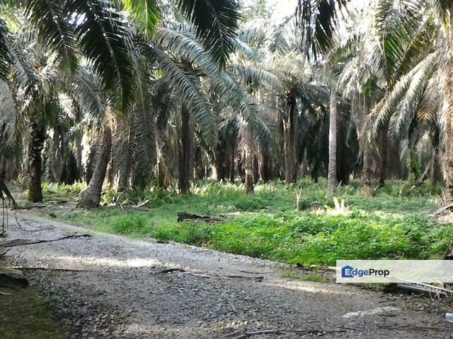 Shop for sale in Tanjong Sepat, Selangor