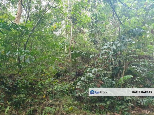 House for sale in Country Heights Damansara, Kuala Lumpur