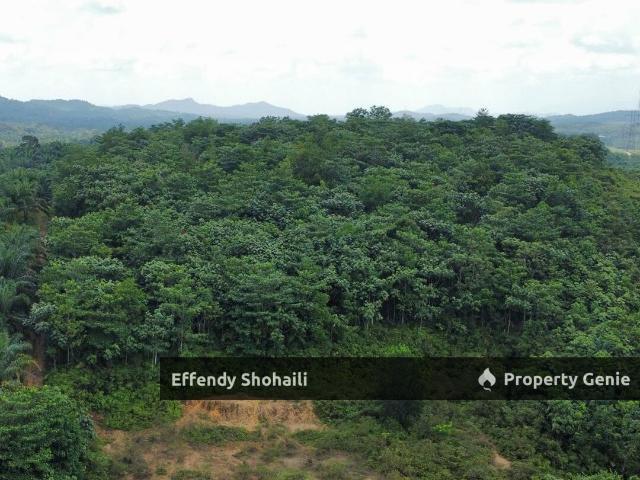 Property for sale in Gedangsa, Selangor