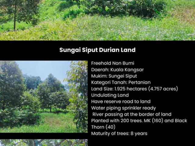 Shop for sale in Perak, Perak Tengah