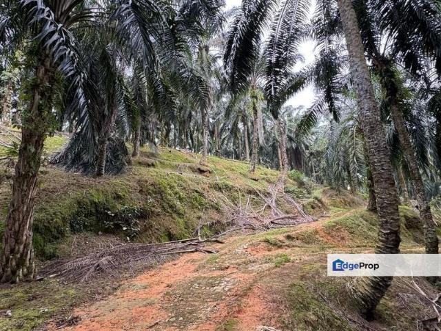Shop for sale in Perak, Perak Tengah