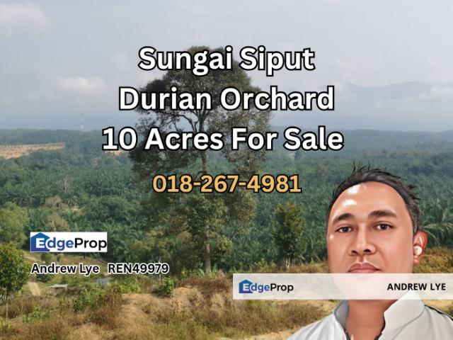 Shop for sale in Perak, Perak Tengah