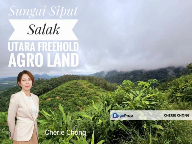 Shop for sale in Perak, Perak Tengah