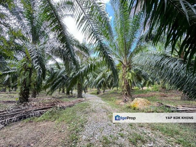 Shop for sale in Perak, Perak Tengah