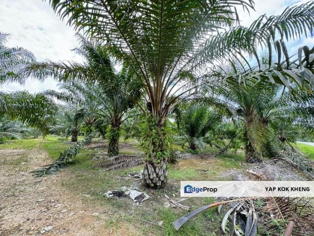 Shop for sale in Perak, Perak Tengah