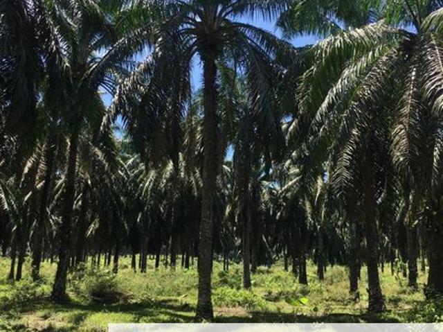 Shop for sale in Perak, Perak Tengah